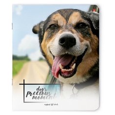 Тетради 48 листов серия "СОБАКИ. С ВЕТЕРКОМ". Набор 5 шт. Цена за 5 штук. Альт