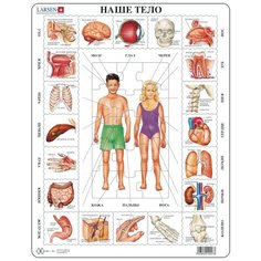 Рамка-вкладыш Larsen Наше тело (OB1), 35 дет.