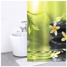 Штора для ванной IDDIS 680P18Ri11 180x200 зеленый/черный