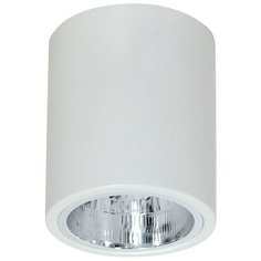 Спот Luminex Downlight Round 7236