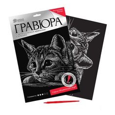 Гравюра Школа талантов Котенок (2147948) серебристая основа