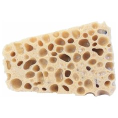 Губка для аквариума Dennerle Cleanator 1 шт. бежевый/серый