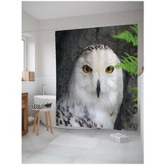 Штора для ванной JoyArty Мудрая сова 180х200 (sc-23718)