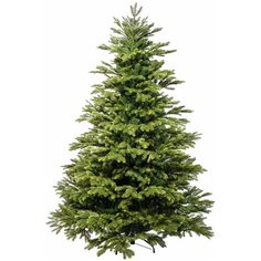 Царь елка Ель Байкальская, 210 см