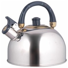 Чайник металлический со свистком Rainstah RS\WK 7550-45 синий, объем 4,5л Rainstahl