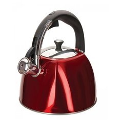 Чайник REGENT 93-TEA-SD-01 Stendal со свистком 3,0л