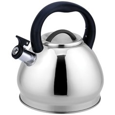 Чайник металлический Rainstahl RS - 7686-30, объем 3,0л.