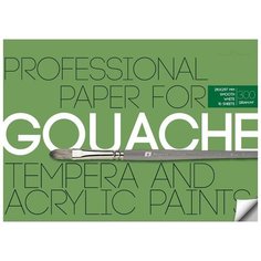 Бумага Bruno Visconti для акрила, гуаши и темперы (A4), 300г/м², 10 л. белый
