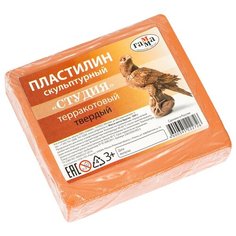 Пластилин ГАММА Студия твердый терракотовый 500 г (2.80.Е050.003.3) Gamma