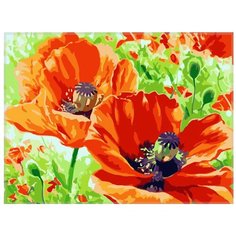 Paintboy Картина по номерам "Маки на лугу" 40х50 см (GX7277)