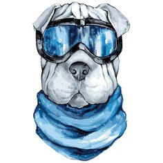 Цветной Картина по номерам Шарпей 30х40 см (ME1110)