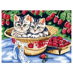 Color Kit Картина по номерам "Котята в саду" 30х40 см (CE013)