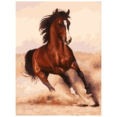 Белоснежка Картина по номерам "Галоп" 30х40 см (3107-CS)