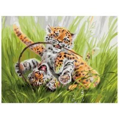 Белоснежка Картина по номерам "Кутерьма в пятнышках" 30х40 см (3345-CS)