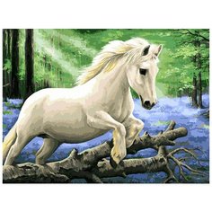 Белоснежка Картина по номерам "В лесу диких гиацинтов" 30х40 см (114-AS)