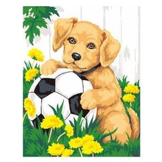 Dimensions Картина по номерам "Щенок с мячом" 20х25 см (DMS-91120)