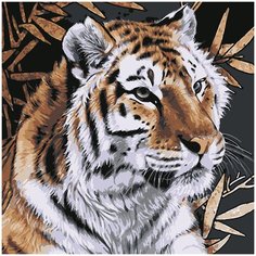 Картина по номерам Molly 30х30 см Тигр Котеин