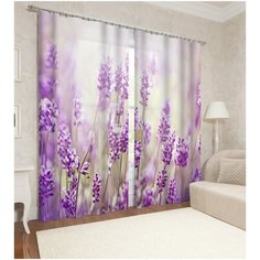 Фотошторы "Лаванда в поле" Сирень