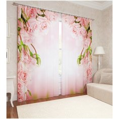 Фотошторы "Арка из роз" Сирень