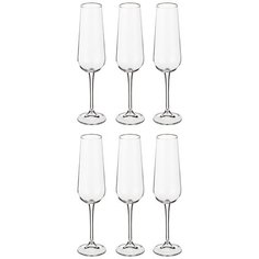 Набор бокалов Crystalite для шампанского 220 мл из 6 штук Amundsen/Ardea, высота 26,5 см (669-179)