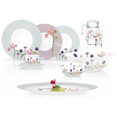 Столовый сервиз ROZANA BEGONIA 46 пр. 6 перс. ОАЭ 61989 Luminarc