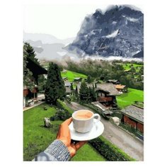 Картина по номерам Paintboy PK 68064 Согревающий утренний кофе 40x50см