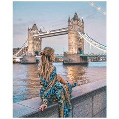 Картина по номерам RADUGA RDG-3615 40х50см