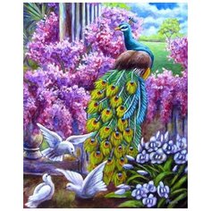 Картина по номерам Colibri "Райские птицы" 40х50см