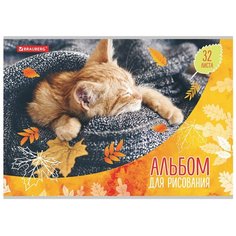 Альбом для рисования BRAUBERG Котята 29.7 х 21 см (A4), 100 г/м², 32 л.