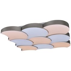 Светодиодная люстра Reluce 216W 01218-0.3-09LED