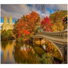 Алмазная мозаика Molly 30х30 см Парк в Нью-Йорке