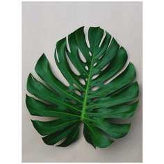 Алмазная мозаика ArtXobby АМ062, 30х40 см, квадратные стразы, полная выкладка