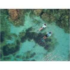 Футболка с короткими рукавами из неопрена мужская 100, размер: XS, цвет: Тёмный Сине-Зелёный/Синий/Клубнично-Розовый SUBEA Х Декатлон Decathlon