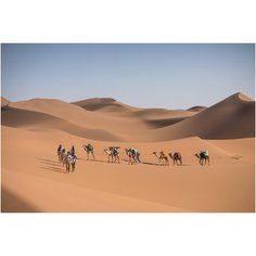 Мужские брюки для треккинга в пустыне DESERT 500, размер: 38 (L33), цвет: Коричневый FORCLAZ Х Декатлон Decathlon