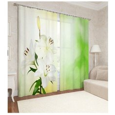 Фотошторы Сирень Бутон белых лилий (ФШСТ001-14040) на ленте 260 см белый