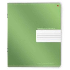 Тетради 24 листов в клетку "Премиум металлик". Набор 10 шт. Цена за 10 шт. 4 вида. обложка в ассортименте Альт