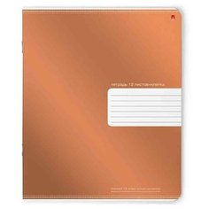 Тетради 12 листов в узкую линейку " Премиум металлик ". Набор 10 шт. Цена за 10 шт. 4 вида обложка в ассортименте Альт