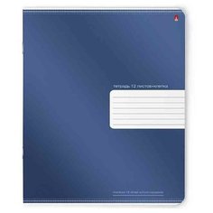 Тетради 12 листов в линейку " Премиум металлик ". Набор 10 шт. Цена за 10 шт. 4 вида обложка в ассортименте Альт