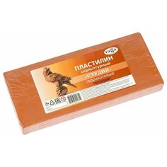 Пластилин ГАММА Студия твердый терракотовый 1000 г (2.80.Е100.003.3) Gamma