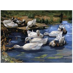 Остров сокровищ картина по номерам Утки в пруду 29х39.5 см (661627)