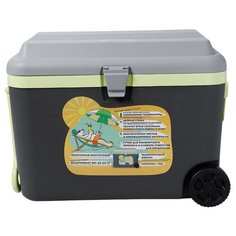 Изотермический контейнер Flyandtrip 50 литров на колесах графит