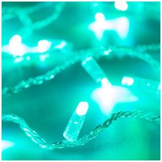 Светодиодная гирлянда ARD-STRING-CLASSIC-20000-CLEAR-200LED-SYNC RGB (230V, 13W) Arlight