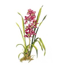 Набор для вышивания Красная орхидея, лён 26 ct EVA Rosenstand