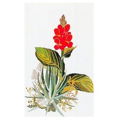 Набор для вышивания Юкка, канва лен 32 ct Thea Gouverneur