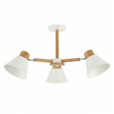 Потолочная люстра Evoluce Buve SLE103702-03