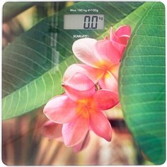 Весы электронные Scarlett SC-BS33E040
