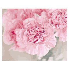 ФРЕЯ картина по номерам "Нежные гвоздики", 40х50 см (PNB-1 №17)