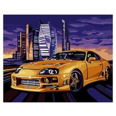 ФРЕЯ Картина по номерам "Скорость", 40х50 см (PNB/R1 №109)