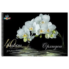 KANZY Альбом для рисования "Орхидеи" 100 г/м2 А4 21 х 29 см на спирали 40 л. KNY 010114_2