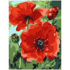 Картина-открытка по номерам Molly 15х20 см Маки